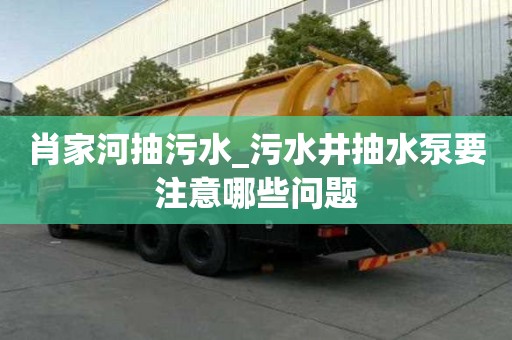 肖家河抽污水_污水井抽水泵要注意哪些問題