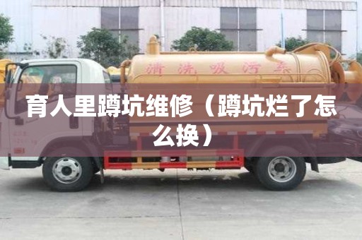 育人里蹲坑維修（蹲坑爛了怎么換）