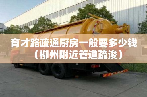 育才路疏通廚房一般要多少錢（柳州附近管道疏浚）