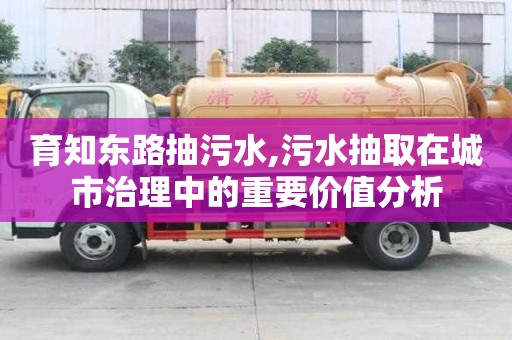 育知東路抽污水,污水抽取在城市治理中的重要價值分析