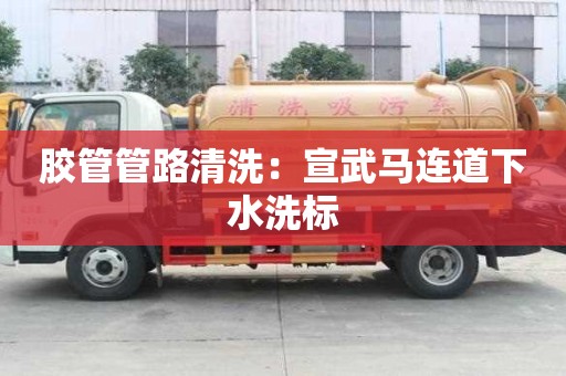 膠管管路清洗：宣武馬連道下水洗標