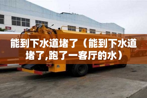 能到下水道堵了（能到下水道堵了,跑了一客廳的水）
