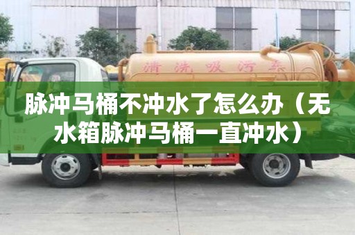 脈沖馬桶不沖水了怎么辦（無水箱脈沖馬桶一直沖水）