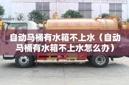 自動馬桶有水箱不上水（自動馬桶有水箱不上水怎么辦）