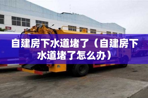 自建房下水道堵了（自建房下水道堵了怎么辦）