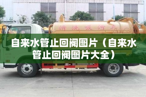 自來水管止回閥圖片（自來水管止回閥圖片大全）