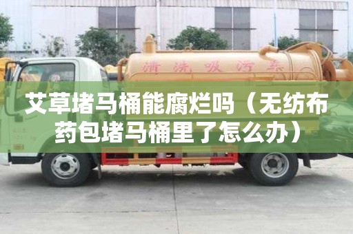 艾草堵馬桶能腐爛嗎（無紡布藥包堵馬桶里了怎么辦）