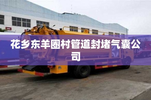 花鄉(xiāng)東羊圈村管道封堵氣囊公司