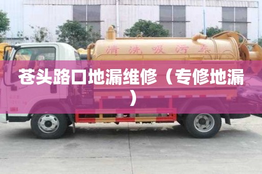 蒼頭路口地漏維修（專修地漏）