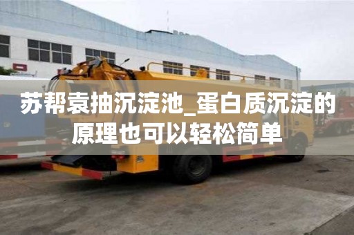 蘇幫袁抽沉淀池_蛋白質沉淀的原理也可以輕松簡單