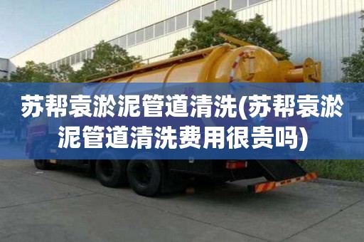 蘇幫袁淤泥管道清洗(蘇幫袁淤泥管道清洗費用很貴嗎)