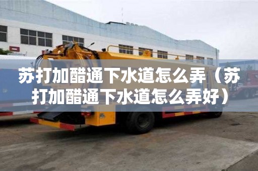 蘇打加醋通下水道怎么弄（蘇打加醋通下水道怎么弄好）