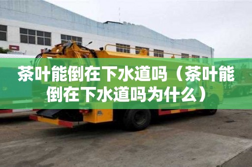 茶葉能倒在下水道嗎（茶葉能倒在下水道嗎為什么）