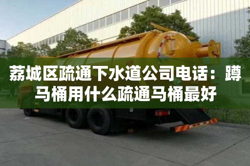 荔城區疏通下水道公司電話：蹲馬桶用什么疏通馬桶最好