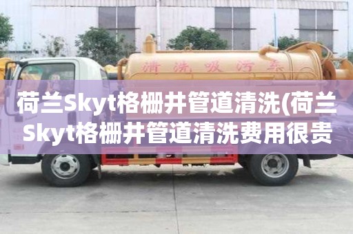 荷蘭Skyt格柵井管道清洗(荷蘭Skyt格柵井管道清洗費用很貴嗎)