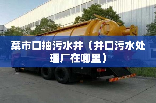 菜市口抽污水井（井口污水處理廠在哪里）