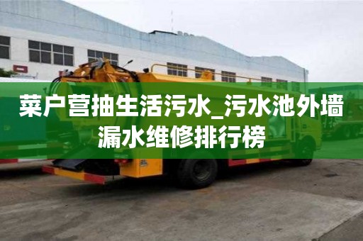 菜戶營抽生活污水_污水池外墻漏水維修排行榜