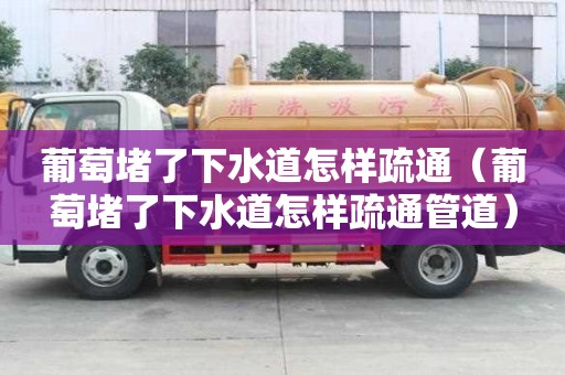 葡萄堵了下水道怎樣疏通（葡萄堵了下水道怎樣疏通管道）