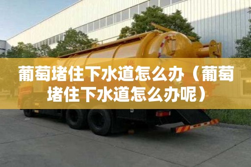 葡萄堵住下水道怎么辦（葡萄堵住下水道怎么辦呢）