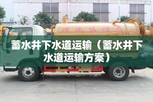 蓄水井下水道運輸（蓄水井下水道運輸方案）