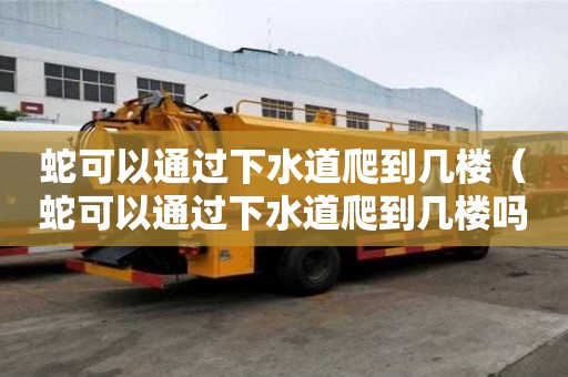 蛇可以通過下水道爬到幾樓（蛇可以通過下水道爬到幾樓嗎）