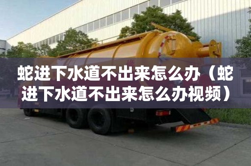 蛇進下水道不出來怎么辦（蛇進下水道不出來怎么辦視頻）