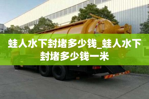 蛙人水下封堵多少錢_蛙人水下封堵多少錢一米