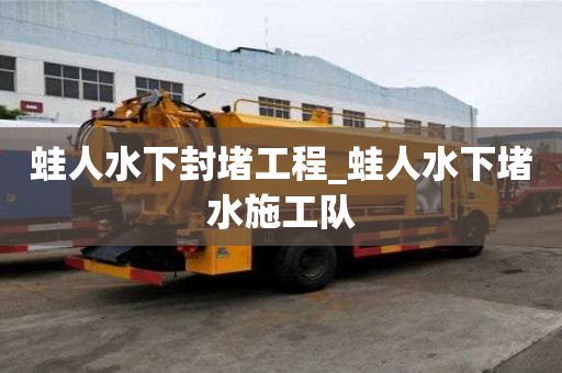 蛙人水下封堵工程_蛙人水下堵水施工隊