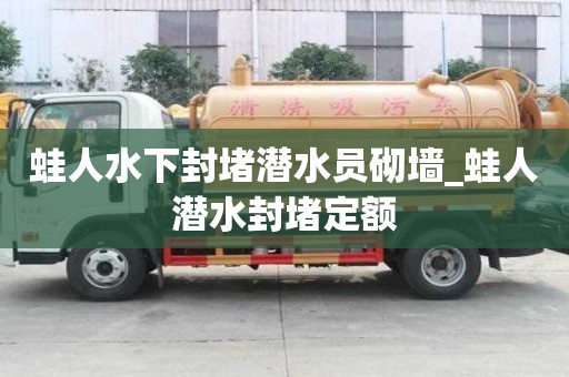 蛙人水下封堵潛水員砌墻_蛙人潛水封堵定額