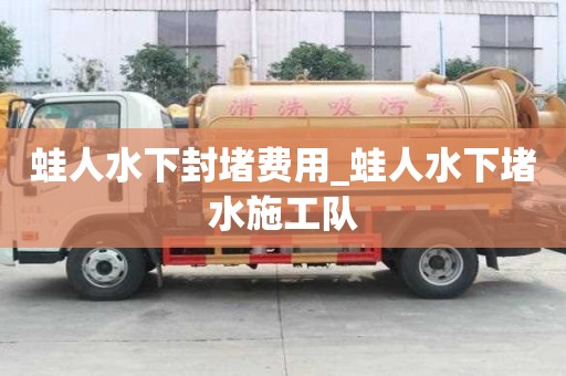 蛙人水下封堵費用_蛙人水下堵水施工隊