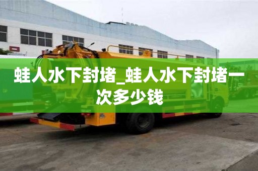 蛙人水下封堵_蛙人水下封堵一次多少錢
