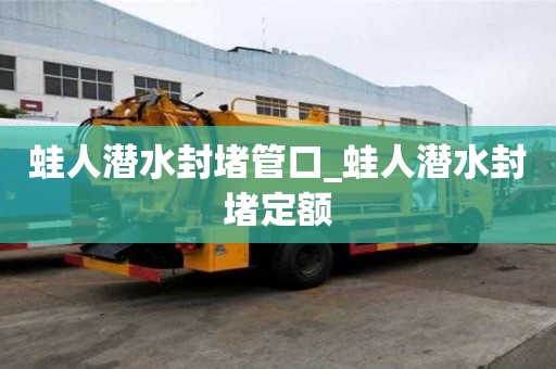 蛙人潛水封堵管口_蛙人潛水封堵定額