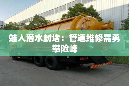蛙人潛水封堵:管道維修需勇攀險峰 蛙人潛水封堵:管道維修需勇攀險峰