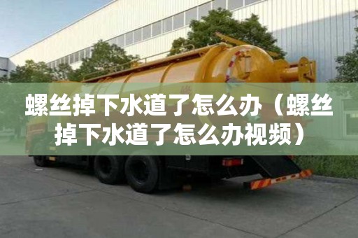 螺絲掉下水道了怎么辦（螺絲掉下水道了怎么辦視頻）