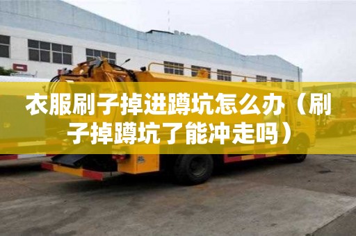 衣服刷子掉進(jìn)蹲坑怎么辦（刷子掉蹲坑了能沖走嗎）