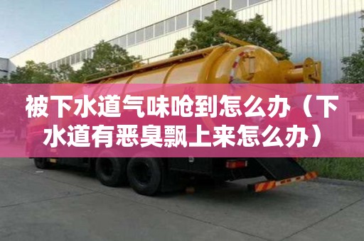 被下水道氣味嗆到怎么辦（下水道有惡臭飄上來怎么辦）