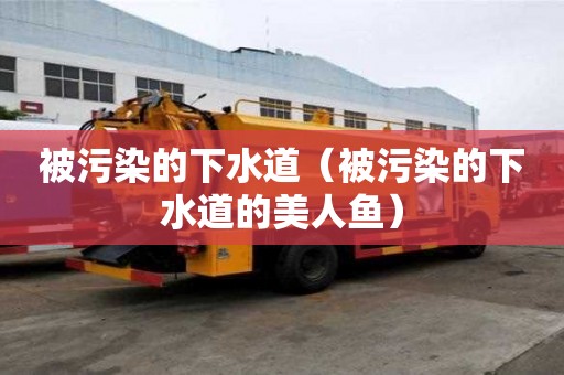 被污染的下水道(被污染的下水道的美人魚) 被污染的下水道(被污染的下水道的美人魚)