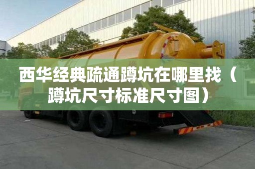西華經典疏通蹲坑在哪里找（蹲坑尺寸標準尺寸圖）