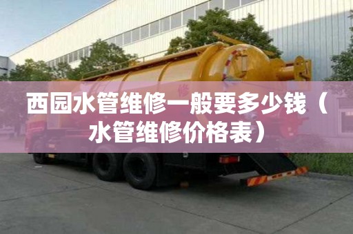 西園水管維修一般要多少錢（水管維修價格表）