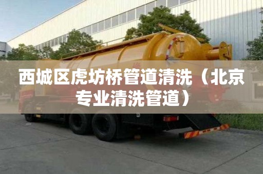 西城區虎坊橋管道清洗（北京專業清洗管道）