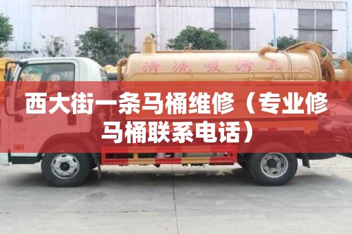 西大街一條馬桶維修（專業修馬桶聯系電話）