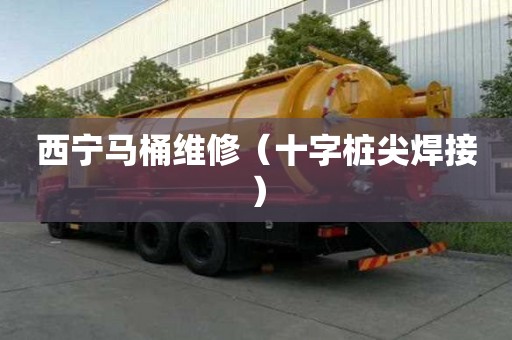 西寧馬桶維修（十字樁尖焊接）