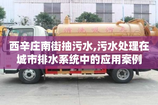 西辛莊南街抽污水,污水處理在城市排水系統中的應用案例