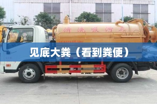 見底大糞（看到糞便）