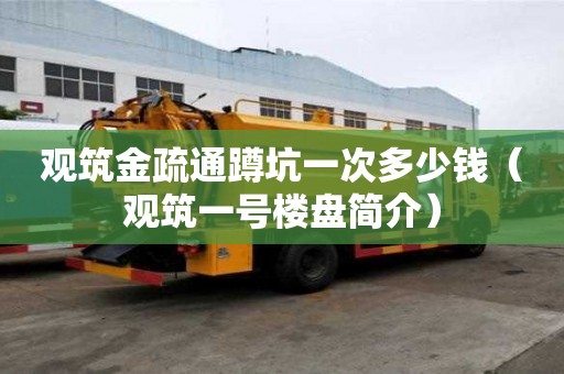 觀筑金疏通蹲坑一次多少錢（觀筑一號樓盤簡介）