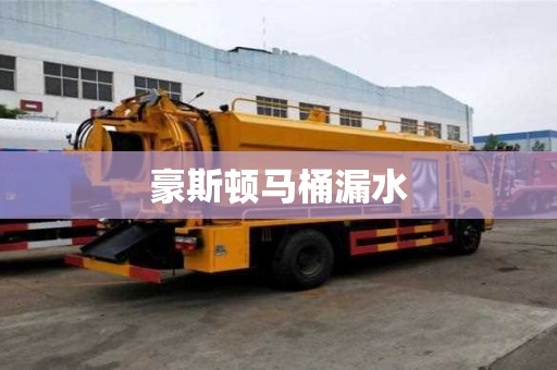 豪斯頓馬桶漏水