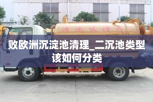 敗歐洲沉淀池清理_二沉池類型該如何分類