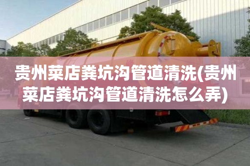 貴州菜店糞坑溝管道清洗(貴州菜店糞坑溝管道清洗怎么弄)
