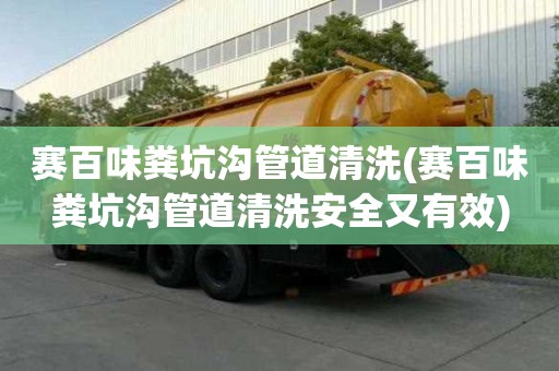 賽百味糞坑溝管道清洗(賽百味糞坑溝管道清洗安全又有效)