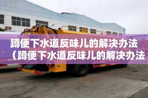 蹲便下水道反味兒的解決辦法（蹲便下水道反味兒的解決辦法視頻）